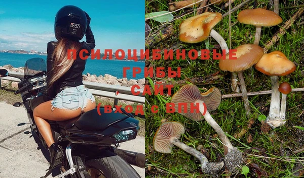кокаин перу Новозыбков