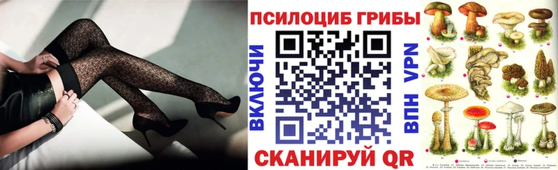Псилоцибиновые грибы прущие грибы  shop Telegram  Кольчугино 