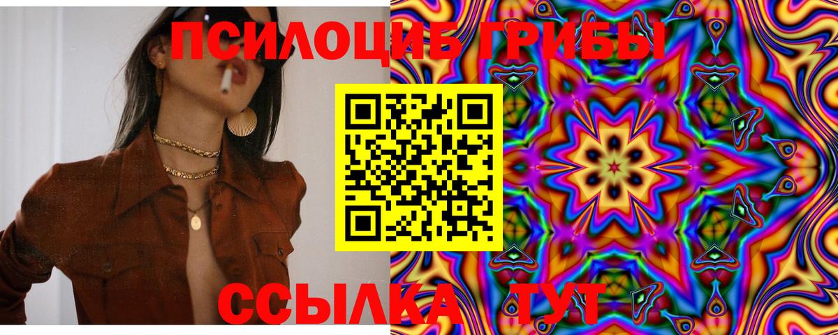Галлюциногенные грибы мицелий  даркнет сайт  Псилоцибиновые грибы MAGIC MUSHROOMS  Кольчугино  Вход с VPN 